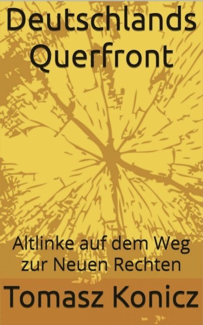 Tomasz Konicz - Deutschlands Querfront, E-bok