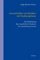Antje Blume-Werry - Lernverhalten von Kindern mit Hydrocephalus, Häftad. Tillgänglighet: Lägg i varukorg