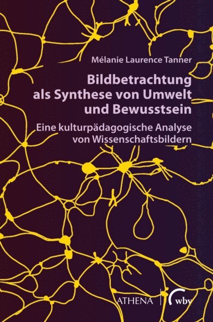 Melanie Laurence Tanner - Bildbetrachtung als Synthese von Umwelt und Bewusstsein, E-bok
