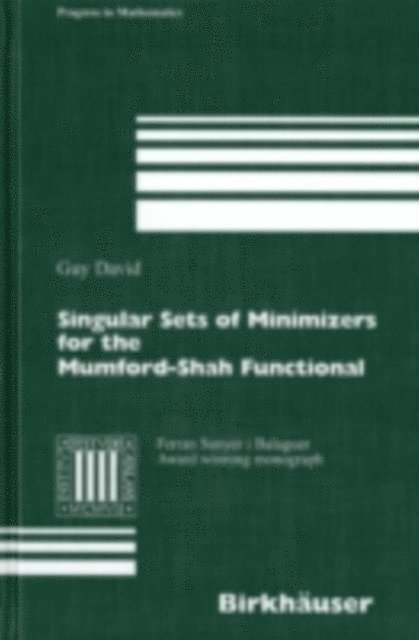 Guy David - Singular Sets of Minimizers for the Mumford-Shah Functional, E-bok