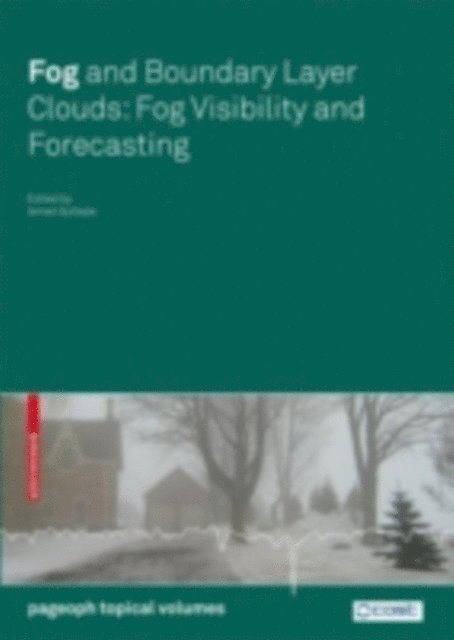 Ismail Gultepe - Fog and Boundary Layer Clouds, E-bok