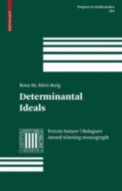 Rosa M. Miro-Roig - Determinantal Ideals, E-bok