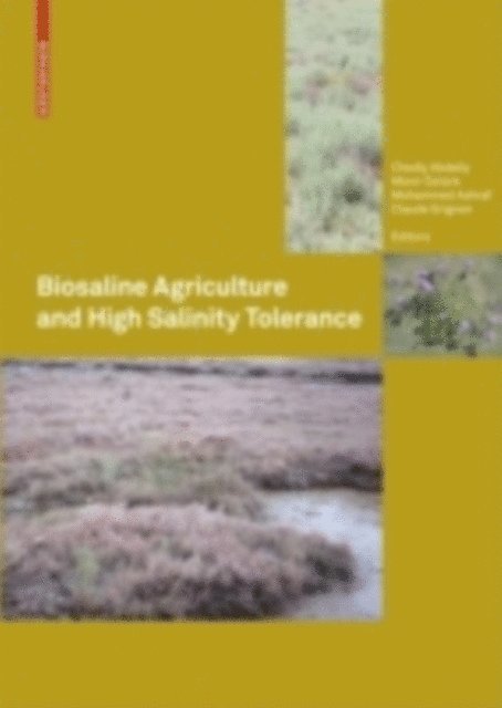 Claude Grignon, Muhammad Ashraf, Munir Ozturk, Chedly Abdelly - Biosaline Agriculture and High Salinity Tolerance, E-bok