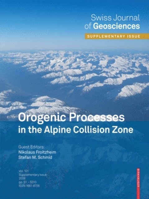 Stefan M. Schmid, Nikolaus Froitzheim - Orogenic Processes in the Alpine Collision Zone, E-bok