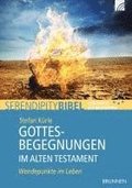Gottesbegegnungen im Alten Testament