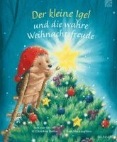 M Christina Butler - Der kleine Igel und die wahre Weihnachtsfreude, Inbunden
