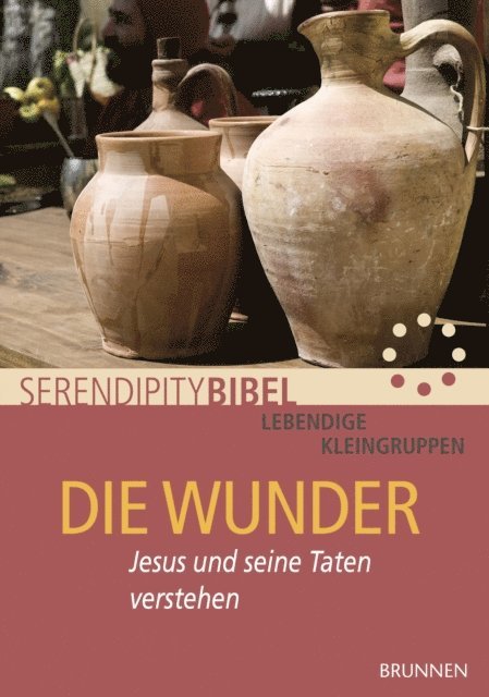 Serendipity bibel - Die Wunder, E-bok