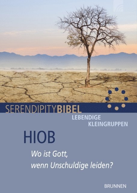 Heiko Wenzel - Hiob, E-bok