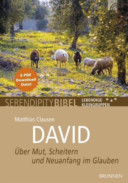 Matthias Clausen - David, E-bok