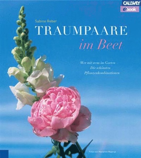 Sabine Reber - Traumpaare im Beet, E-bok