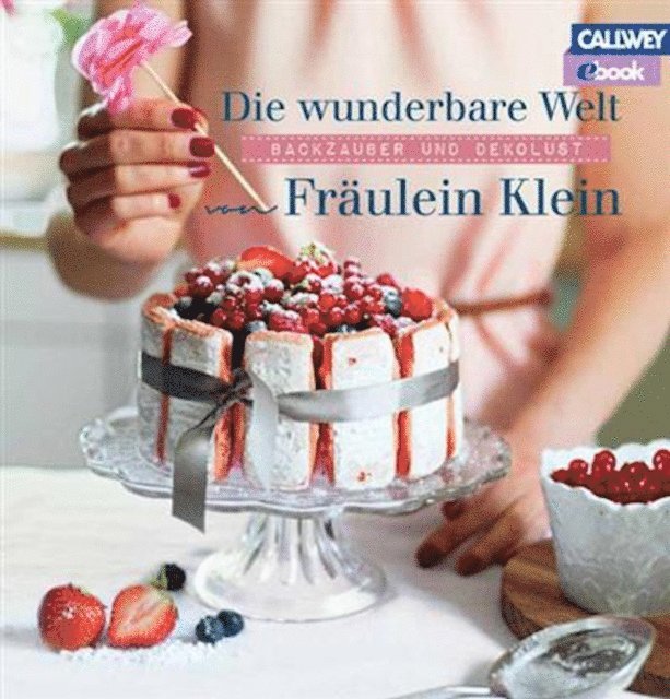 Yvonne Bauer - Die wunderbare Welt von Fräulein Klein, E-bok
