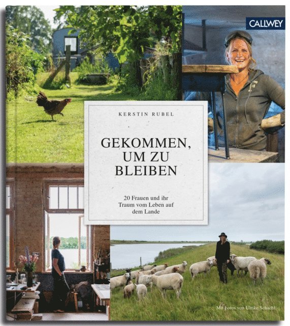 Kerstin Rubel - Gekommen, um zu bleiben, E-bok
