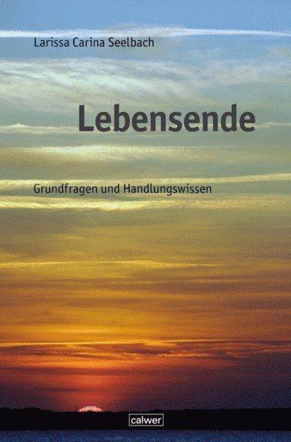 Larissa C. Seelbach - Lebensende, E-bok