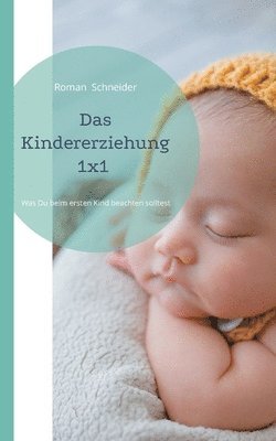 Roman Schneider - Kindererziehung 1x1, Häftad