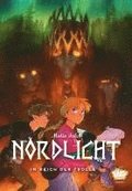 Nordlicht 04