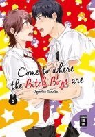 Ogeretsu Tanaka - Come to where the Bitch Boys are 03, Häftad