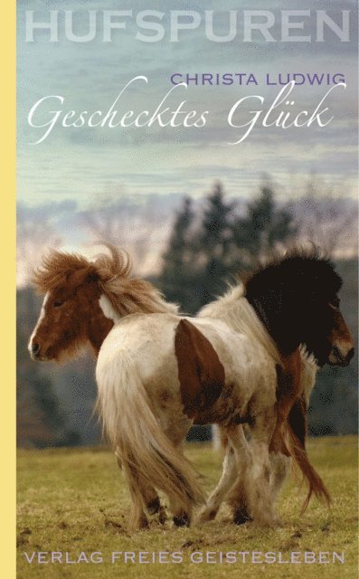 Christa Ludwig - Hufspuren: Geschecktes Glück, E-bok