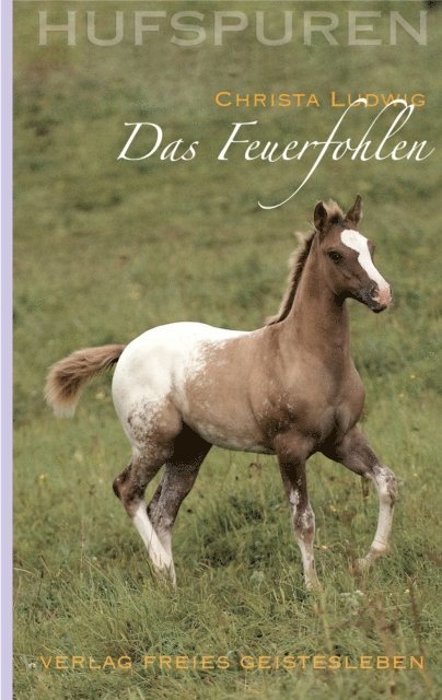 Christa Ludwig - Hufspuren: Das Feuerfohlen, E-bok