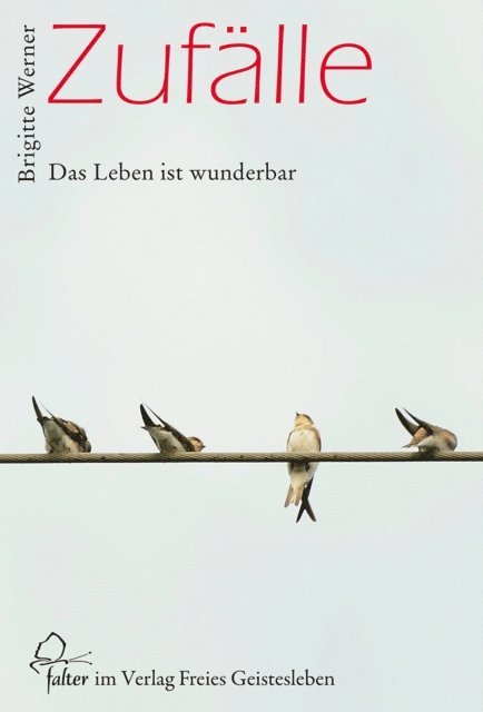 Brigitte Werner - Zufälle, E-bok