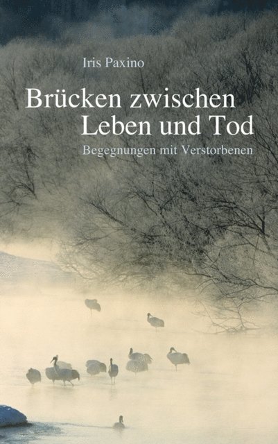 Iris Paxino - Brücken zwischen Leben und Tod, E-bok