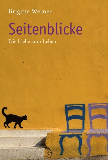 Brigitte Werner - Seitenblicke, E-bok