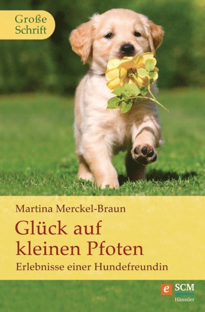 Martina Merckel-Braun - Glück auf kleinen Pfoten, E-bok