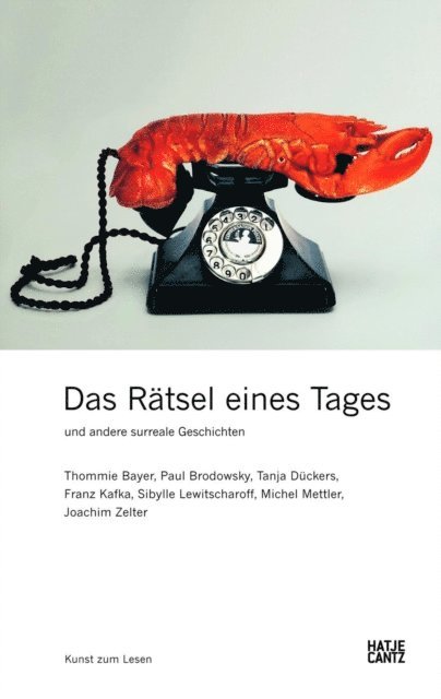 Joachim Zelter, Michel Mettler, Sibylle Lewitscharoff, Franz Kafka, Tanja Duckers, Paul Brodowsky, Thommie Bayer, Karin Osbahr - Das Rätsel eines Tages und andere surreale Geschichten, E-bok