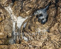 Cristina Iglesias (Bilingual edition)