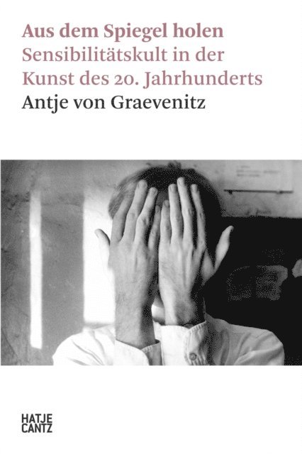 Antje von Graevenitz - Aus dem Spiegel holen, E-bok