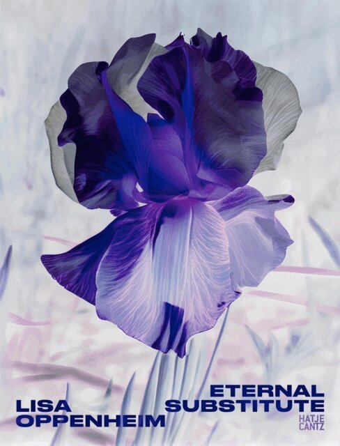 Jacob Proctor - Lisa Oppenheim: The Eternal Substitute, E-bok