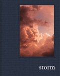 Prix Pictet: Storm