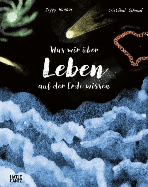 Ziggy Hanaor - Was wir uber Leben auf der Erde wissen, E-bok