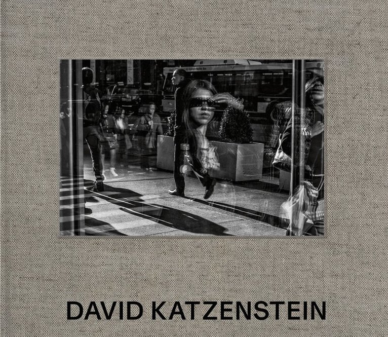 Richard Grosbard, David Katzenstein, David Katzenstein - David Katzenstein, Inbunden. Tillgänglighet: Lägg i varukorg