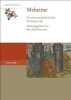 Rita Schlusemann - Meluzine: Die Erste Niederlandische Fassung (1491), Häftad