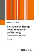 Risikoabschätzung bei Kindeswohlgefährdung