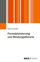 Roland Schleiffer - Fremdplatzierung und Bindungstheorie, Häftad