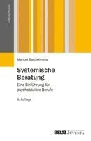Manuel Barthelmess - Systemische Beratung, Häftad