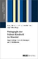 Pdagogik der frhen Kindheit im Wandel