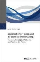 Sozialarbeiter*innen und ihr professioneller Alltag