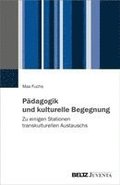 P�dagogik und kulturelle Begegnung