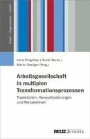 Irene Dingeldey, Guido Becke, Martin Seeliger - Arbeitsgesellschaft in multiplen Transformationsprozessen, Häftad