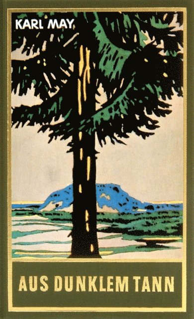 Karl May - Aus dunklem Tann, E-bok