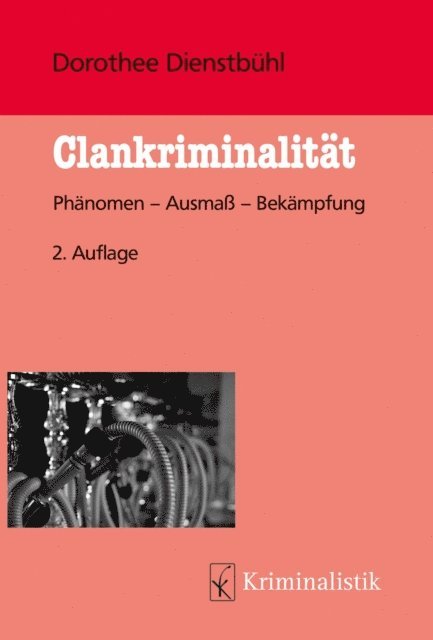 Dorothee Dienstbuhl - Clankriminalität, E-bok