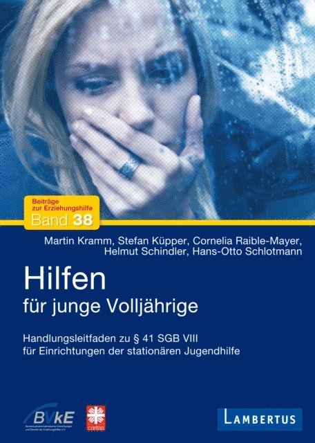 Hans-Otto Schlotmann, Helmut Schindler, Cornelia Raible-Mayer, Stefan Kupper, Martin Kramm - Hilfen für junge Volljährige, E-bok