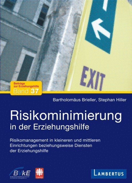 Stephan Hiller, Bartholomaus Brieller - Risikominimierung in der Erziehungshilfe, E-bok