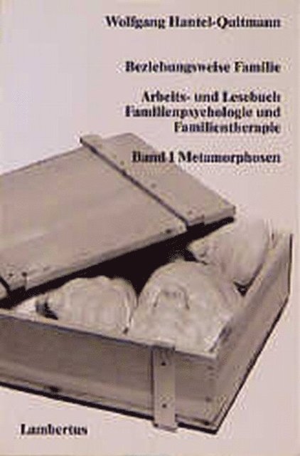 Wolfgang Hantel-Quitmann - Beziehungsweise Familie, E-bok