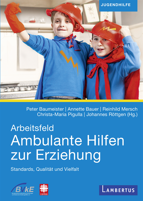 Johannes Rottgen, Christa-Maria Pigulla, Reinhild Mersch, Annette Bauer, Peter Baumeister - Arbeitsfeld Ambulante Hilfen der Erziehung, E-bok