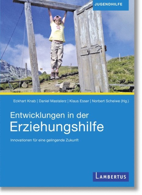 Klaus Esser, Daniel Mastalerz, Eckhart Knab, Norbert Scheiwe - Entwicklungen in der Erziehungshilfe, E-bok