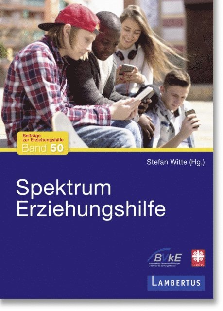 Stefan Witte - Spektrum Erziehungshilfe, E-bok