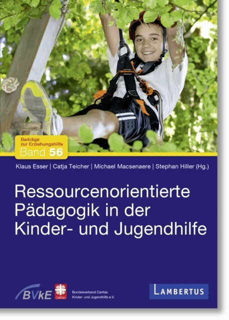 Stephan Hiller, Michael Macsenaere, Catja Teicher, Klaus Esser - Ressourcenorientierte Pädagogik in der Kinder- und Jugendhilfe, E-bok